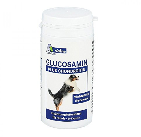 GLUCOSAMIN+CHONDROITIN Kapseln f.Hunde 60 St