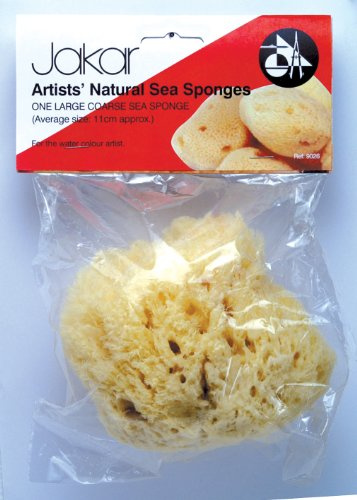 Natural sea sponge large (Average size 11cm)