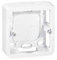 Cadre saillie Mosaic LEGRAND profondeur 30 mm pour 2 modules et support