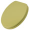 Schläfer 4638109 | Sedile Copriwater, Coprivaso, Tavoletta Copri Wc, Universale Weser in Legno Mdf, Cerniere Regolabili in Ottone Cromato, Copritazza, Wc Universale, forma Ovale, Verde Muschio.