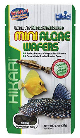HIKARI M138196 Mini Algae Wafers 22G, 1000 ml