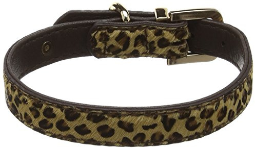 DO&G Safari Leopard Print Dog Collar, Medium