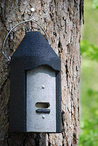 Fledermaushöhle 2F mit Holzplatte
