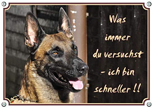 Petsigns Warnschild Malinois - Hundeschild Belgischer Schäferhund - stabil und haltbar, DIN A4
