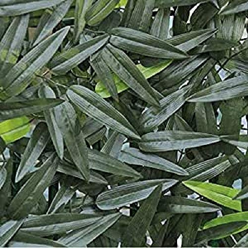 Verdemax 5582 en Bambou 1 x 2 m Stockade avec Feuilles