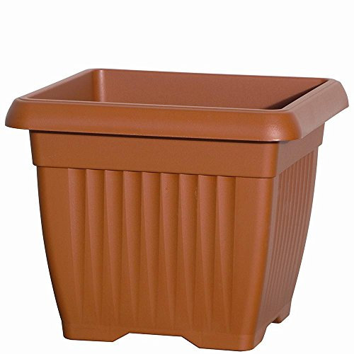 Arca Vasi Giglio Quadro 630