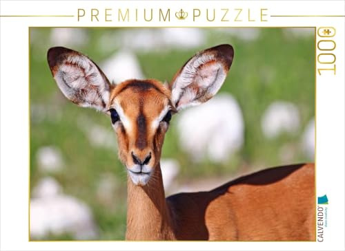 CALVENDO Puzzle Schwarznasen-Impala | 1000 Teile Lege-Größe 64 x 48 cm Foto-Puzzle für glückliche Stunden