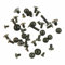 T-shin Komplettes Set Schrauben teile mit Pentalob-Schrauben für iPad mit kompakter Schutzhülle aus Polypropylen (iPad 2 / iPad 3 / iPad 4)