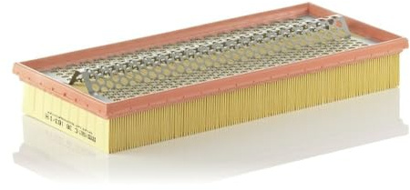 MANN-FILTER, C 38 163/1 Luftfilter | Für PKW, Saubere Luftzufuhr, Langlebiges Filtermedium, Passgenaues Design, Echte OE-Technologie