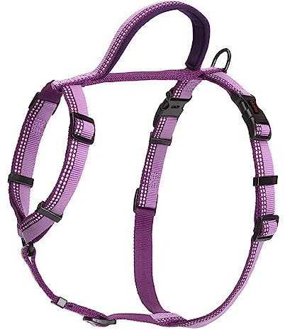 HALTI Walking Hundegeschirr – Mit weichem Neopren-gefüttertem Griff, 5 verstellbare Riemen und 3M-Reflektorgewebe. Geeignet für kleine Hunde und Welpen (Größe XS, Lila)