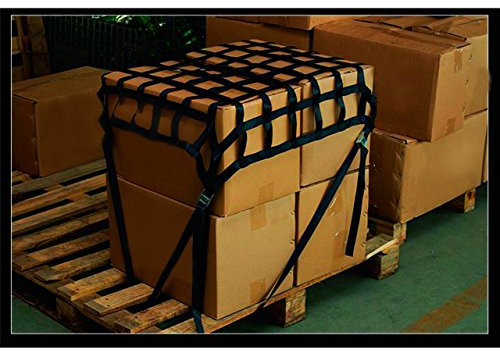 Tector Ladungssicherungsnetz / Gurtbandnetz klein für Auto, Schwarz, Polyester, Schnalle, 1.5 Meter, 2.5 cm