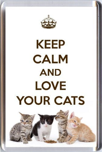Keep Calm and Love Your Cats Fridge Magnet Printed on an Image of Four Cute Kittens. A Unique Birthday Gift for a Cat Lover.
