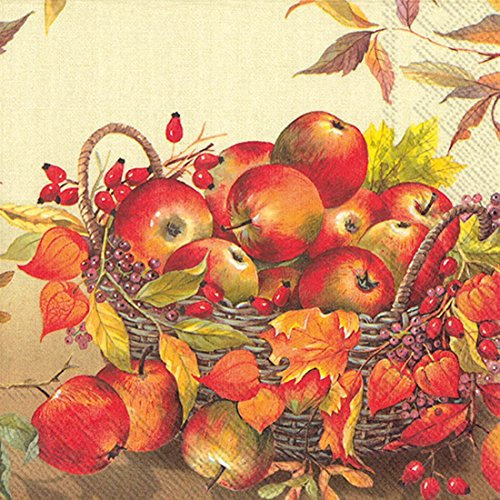 Ideal Home Range 20 Zählen Korb der Äpfel Papier Servietten, multicolor