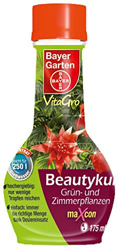 Bayer Beautykur Grün-/ Zimmerpflanzen Maxcon 175ml
