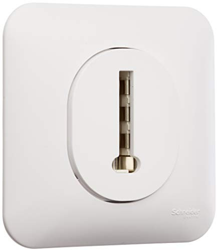 Schneider Electric S260496 Prise téléphone en T Ovalis complet