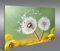 islandburner Bild Bilder auf Leinwand Pusteblume V2 Natur Blumen 1p XXL Poster Leinwandbild Wandbild Dekoartikel Wohnzimmer Marke