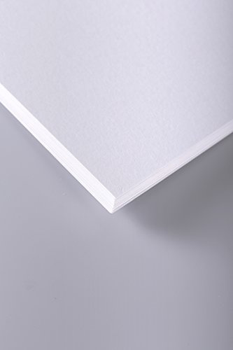 Clairefontaine 37329C Skizzenpapier (250 g, DIN A3, 29,7 x 42 cm, 50 Blatt, ideal für Künstler oder die Schule) weiß