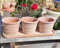 Italienisches 3 er Set Blumentöpfe mit Untersetzer echt Terrakotta, Blumenkübel Blumentopf für Garten Wohnung Terracotta Mediterran Landhaus Kräutertopf Kakteen