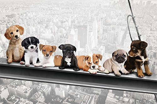 Hunde auf Stahlträger - New York Skydogs - Spaß Städte Welpen Poster Plakat Druck - Grösse 91,5x61 cm