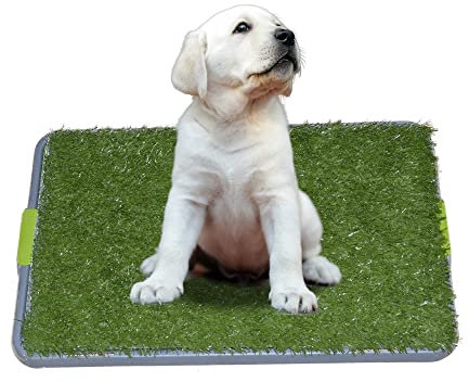 Sonnyridge Easy Dog Potty Training - Made with Synthetic Grass - 3 Layered System - Pan Tray - Great for Dogs Stuck in the House All Day - Indoor Use. It's Like a Dog Litter Box or a Dog Indoor Potty
