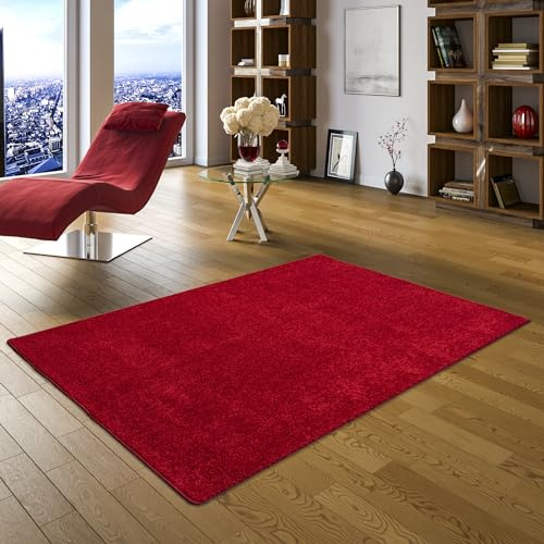 Snapstyle Cottage Hochflor Teppich Rot – Shaggy Teppich extra weich, moderner Wohnzimmer Teppich, kuschelig & pflegeleicht