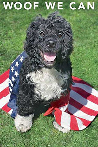 Kimberlin, Keith - waterdog - Tier-Poster Hunde Amerika We can Independence Day - Grösse 61x91,5 cm + 1 Packung tesa Powerstrips® - Inhalt 20 Stück