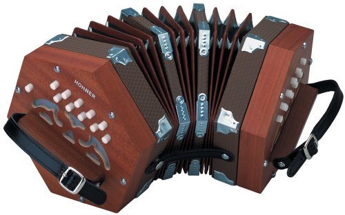Hohner D40 Concertina mit gepolsterter Gigbag