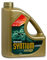 Petronas SYNTIUM 5000 RN - 5W30 Aceite de Motor sintético - Botella de 5 L