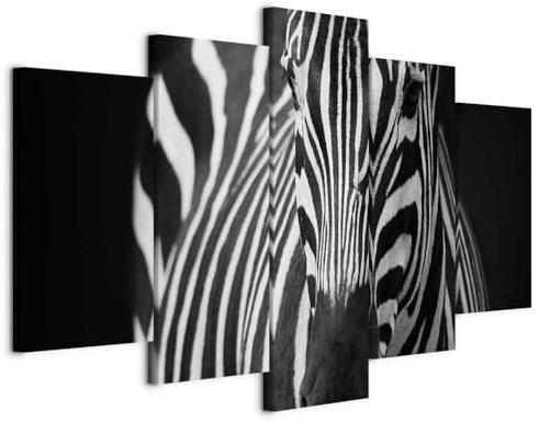 B&D XXL Cuadros Leinwandbild Tiere Streifen schwarz, 200x100 cm, 5-teilig | Hochwertige Leinwand, sofort aufhängbar, ideal fürs Wohn- oder Schlafzimmer, wasserfest und lichtecht, langlebig, stilvoll