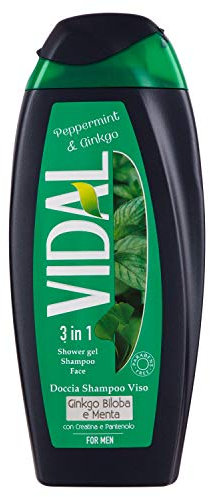 Vidal Doccia 250Ml Mint & Ginkgo