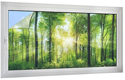 Klebefieber Sichtschutz Lichtblick B x H: 80cm x 40cm