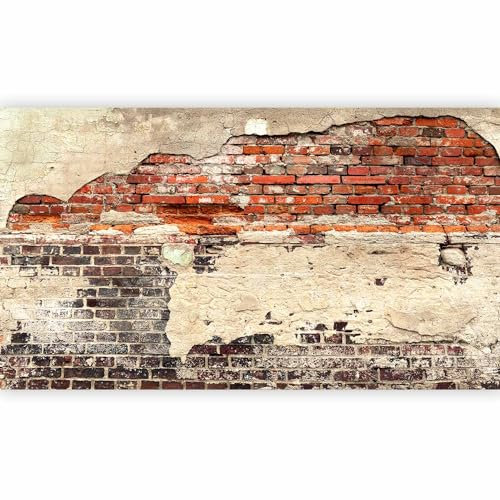 murando - Fototapete XXL Ziegelmauer 500x280cm- Foto Tapete Schlafzimmer Wohnzimmer Vliestapete XXL Wandtapete Motivtapeten Bildtapete 3d Effekt Wand Dekoration - Ziegel Ziegelstein f-A-0503-x-b