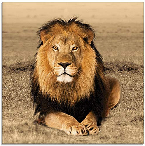 ARTland Wanddeko Glasbilder Wandbild Glas Bild einteilig 50x50 cm Quadratisch Afrika Safari Tiere Löwe Savanne Natur Porträt T5RJ