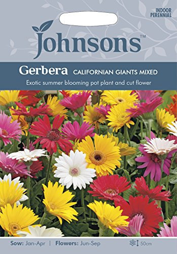 Johnsons Gerbera Californian Giants Mixed
