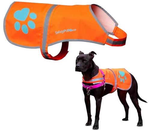 SafetyPUP XD Reflective Dog Vest. Hi-Visibility, Fluorescent Blaze Orange Dog Vest Helps Protect Your Best Friend. Safeguard Your PUP from Motorists & Hunting Accidents, On or Off Leash (Medium)
