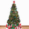 Star Cutouts Cutouts-STSC57 Ltd SC57 Grande découpe en Carton pour Sapin Idéal pour la décoration de Noël, fêtes et événements Hauteur 178 cm, Uni, STSC57, Multicolore, Normal