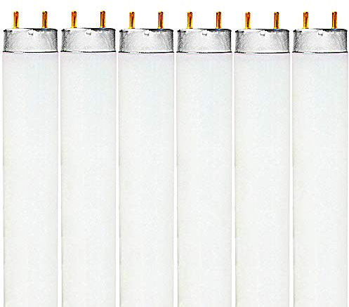 LUXRITE F32T8/865 32W 48 Inch T8 Fluorescent Tube Light Bulb, 6500K Daylight, 2800 Lumens, G13 Medium Bi-Pin Base, LR20735, 6-Pack