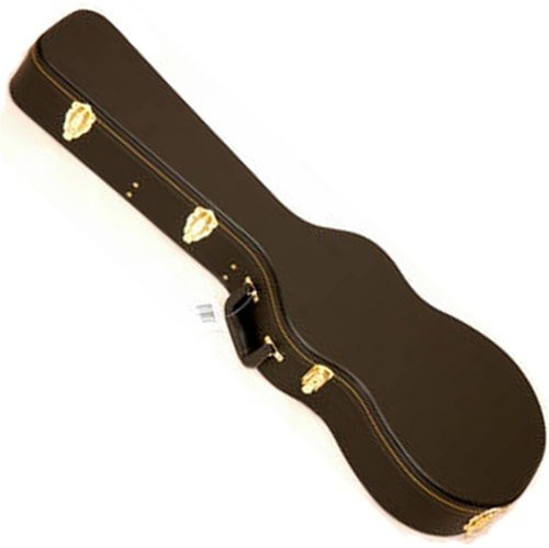 Koffer für LP-E-Gitarre