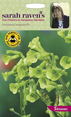 Johnsons - Sarah Raven's Cut Flowers - Nicotiana langsdorffii - 500 Seeds