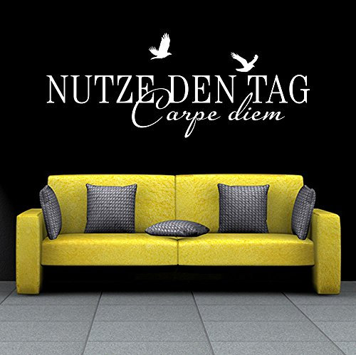 Wandtattoo Nutze den Tag - Carpe Diem No.2 (Farbe hellgrau/Größe 60x24cm)