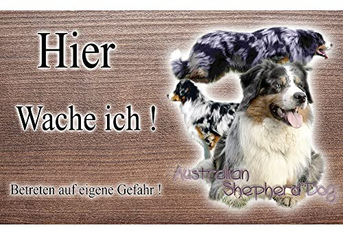 hier wache ich hund Australian Shepherd 29/18 cm