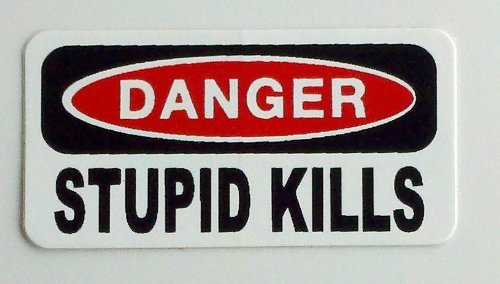 Ritrama Indigos UG Auto Aufkleber 3 - Danger Stupid Kills Hard Hat Helmet Stickers 25mmx50mm