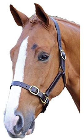 Shires Blenheim vollständig Verstellbare Leder Halfter schwarz oder braun wählen Größe Pony Mehrfarbig - Havana