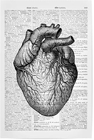 artboxONE Poster 30x20 cm Anatomie Schwarzweiß Heart hochwertiger Design Kunstdruck - Bild märchen antike bücher
