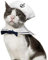 LESYPET Katze Hund Sailor Kostuem Hut Marine Krawatte