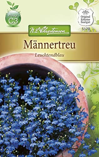Chrestensen Männertreu 'leuchtendblau'