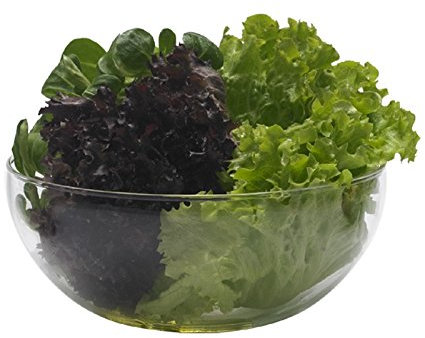 Trendglas Jena Schüssel, 1 Liter