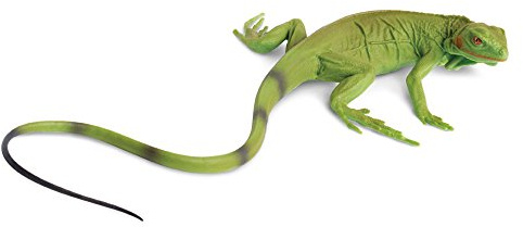 Safari Ltd. Iguana Baby Figurine - Detailed 9.4 Plastic Model Figure - Educational Toy for Boys, Girls and Kids Ages 3+