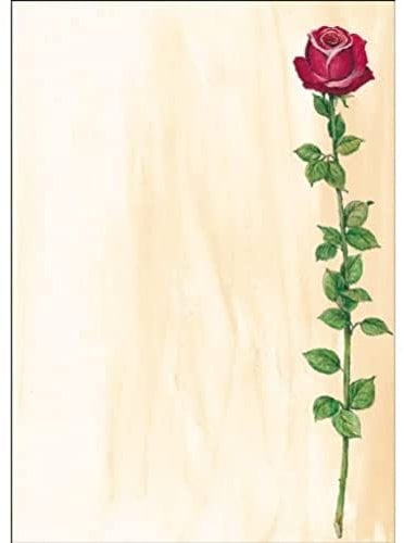 SIGEL DP695 Motiv-Papier Rose Bloom, Briefpapier 90 g, DIN A4, 25 Blatt, aus nachhaltigem Papier