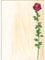 SIGEL DP695 Motiv-Papier Rose Bloom, Briefpapier 90 g, DIN A4, 25 Blatt, aus nachhaltigem Papier